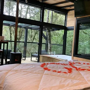 Casa de hóspedes Floresta Secreta- Cachoeira Da Neve, Urubici